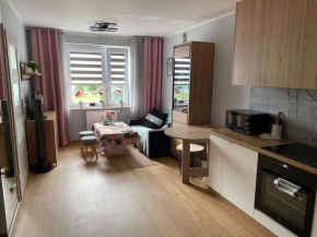 Uroczy apartament blisko Zalewu-Lublin